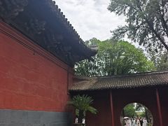 -洛阳白马寺