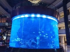 -OPEN開全日自助餐厅·西餐·海鲜(佛山希尔顿酒店)