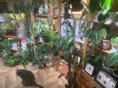 -Rabbit Cafe私房西餐甜点咖啡(栖霞路店)