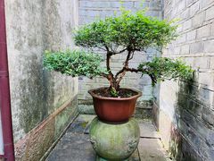 -天一阁博物院