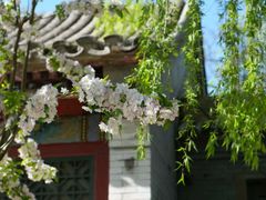 -元大都城垣遗址公园