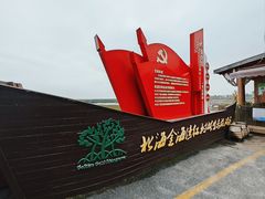 -北海金海湾红树林生态旅游区