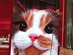 -美罗城