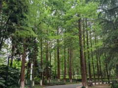 -苏州河梦清园环保主题公园