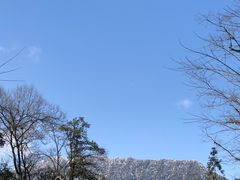 -中国大熊猫保护研究中心雅安碧峰峡基地