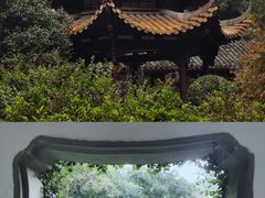 -杭州黄龙洞