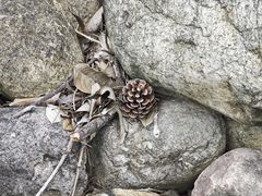 -白塘生态植物园