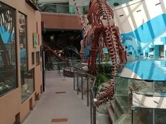 -陕西自然博物馆