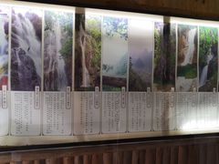 -天门沟九州驿站树上汤泉