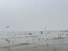 -老虎石海上公园