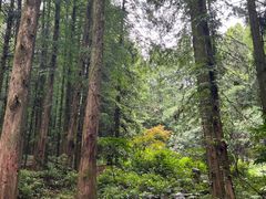 -山王坪喀斯特国家生态公园