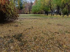 -长春公园(普阳街道)