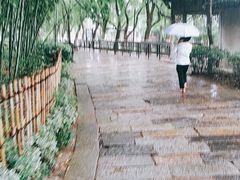 -乌镇东栅景区