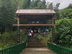 -蔡伦竹海