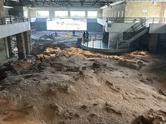 -自贡恐龙博物馆