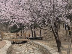 -北京西山国家森林公园