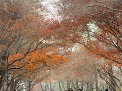 -灵顺寺