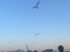 -大连国航大厦(星海广场店)