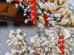 -杭州上天竺法喜讲寺