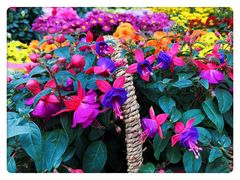 -三圣花乡旅游区