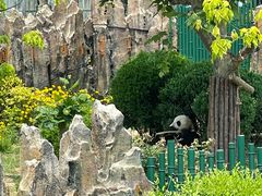 -大连森林动物园