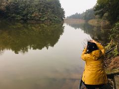 -重庆雨台山风景区