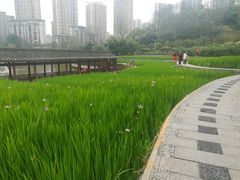 -龙头寺公园