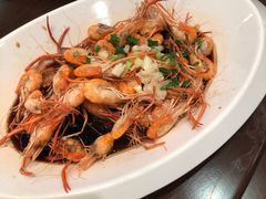 -同济大酒店(绿宝广场店)