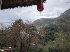 -神农架景区
