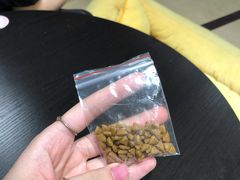 -逗柴咖啡屋·狗咖猫咖宠物桌游