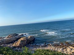 -养马岛旅游度假区