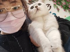 -藏猫猫咖啡主题馆(中央大道店)