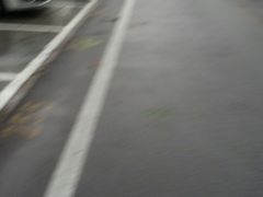 -首都医科大学附属北京地坛医院