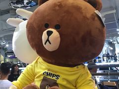 -line friends(明洞旗舰店)