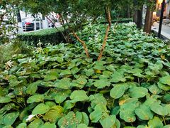 -顺承小院儿