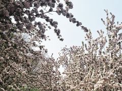 -元大都城垣遗址公园