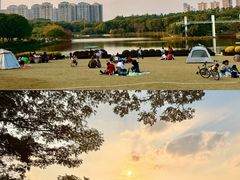 -东莞植物园