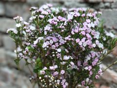 -VOYAGE COFFEE(北锣鼓巷店)