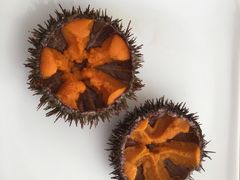 -海胆小馆(东北水饺·春柳店)