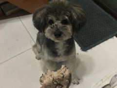 -杨招娣糕点(装驾桥巷店)