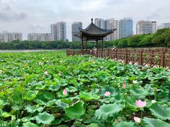 -南宁南湖公园