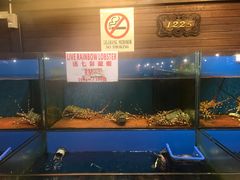 -真浪花园海鲜餐馆