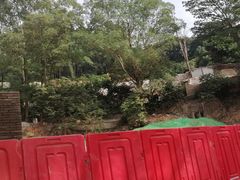 -火炉山森林公园