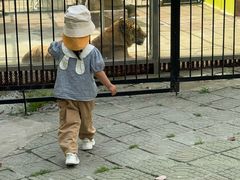 -荆州中山公园动物园