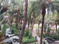 -厦门日月谷温泉渡假村