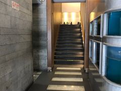 -食神鱼头佛跳墙(百子湾旗舰店)