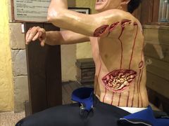 -信不信由你博物馆