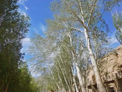 -敦煌莫高窟数字展示中心