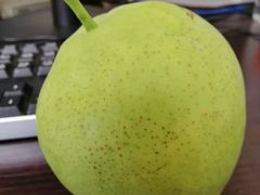 -何庄子阿米玛玛农产品批发市场