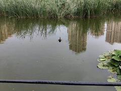 -前关湿地公园